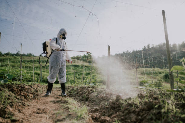 Best Pest Control Treatment  in Flandreau, SD