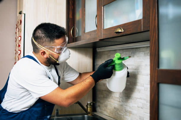 Best Pest Control for Businesses  in Flandreau, SD