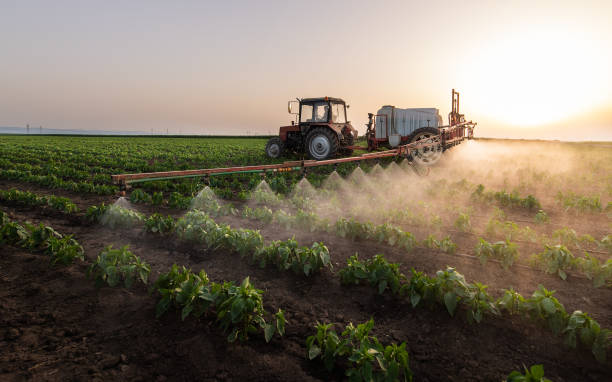 Best Cockroach Control Services  in Flandreau, SD