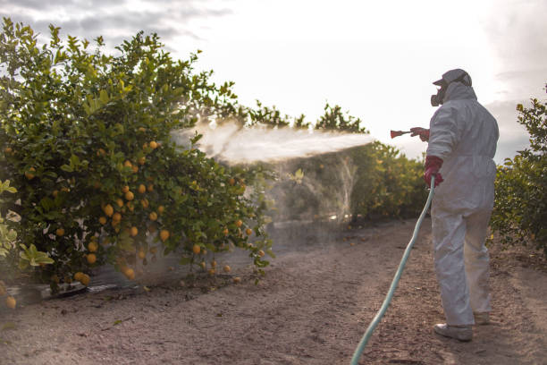 Best Affordable Exterminators  in Flandreau, SD
