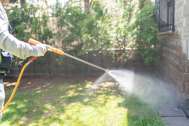 Best Flea Control Services  in Flandreau, SD