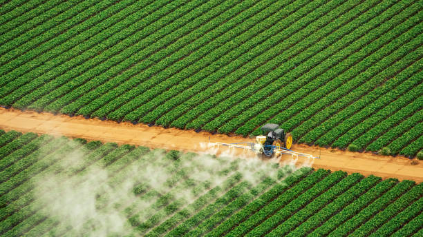 Best Pest Control Near Me  in Flandreau, SD