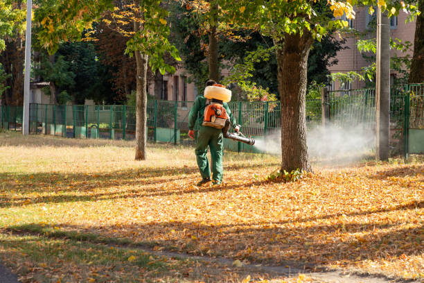 Best Pest Removal Services  in Flandreau, SD