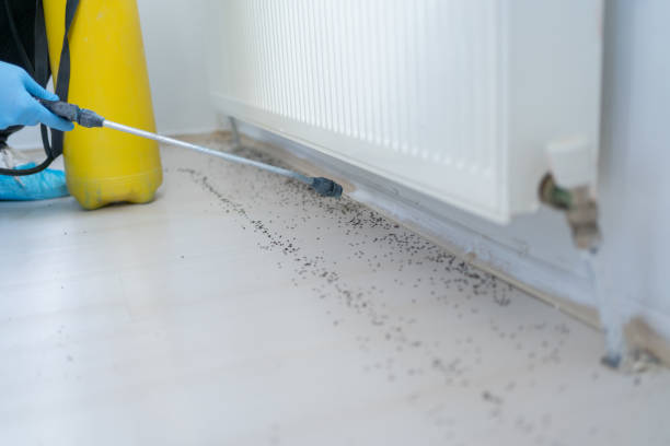 Best Bed Bug Extermination  in Flandreau, SD