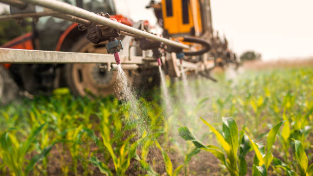 Best Pest Prevention Services  in Flandreau, SD
